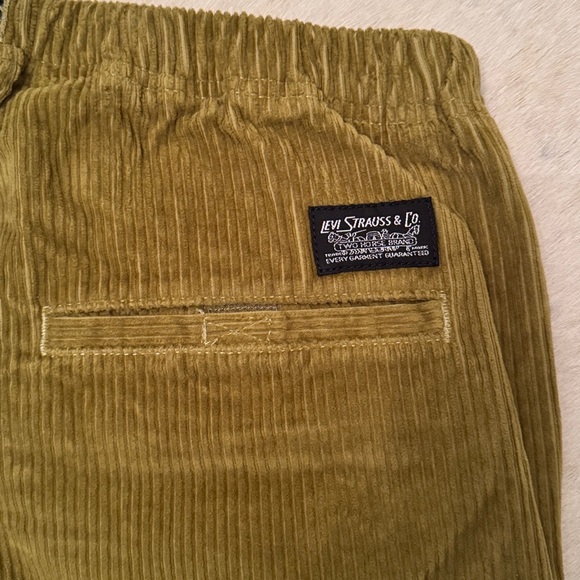 Levi’s Skate Quick Release Corduroy Pants - Picture 13 of 16